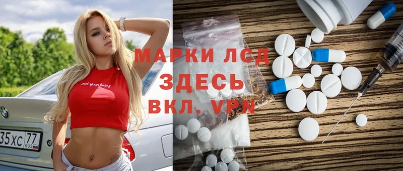 дарнет шоп  Мценск  ссылка на мегу как войти  ЛСД экстази ecstasy 